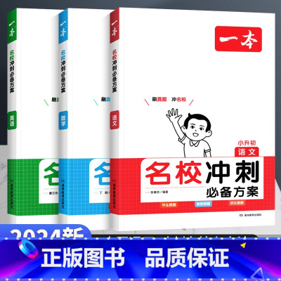 小升初名校冲刺方案 语数英[3本] 小学升初中 [正版]2023新版小升初名校冲刺方案语文数学英语小升初知识大盘点小