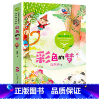 彩色的梦 [正版]蜘蛛开店书鲁冰/著作二年级课外书必读读书儿童读物经典故事书2年级下册统编小学语文教科书同步阅读书系长江