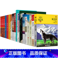 狼王梦17册 [正版]六年级必读经典书目全套17册狼王梦青铜葵花繁星春水上下五千年林汉达汤姆叔叔的小屋十五岁的小船长假如