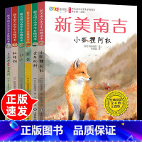 6册新美南吉小学生分级读本 [正版]6册新美南吉童话故事全集 小狐狸阿权 去年的树 花木村和盗贼们 撒谎 决斗 红蜡烛