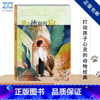 佛兰德斯的狗 [正版]佛兰德斯的狗/打动孩子心灵的动物经典 小学三四五年级6-8-10-12周岁儿童文学故事书课外阅读儿