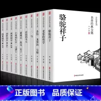 [正版]10册全套老舍经典作品全集骆驼祥子原著四世同堂茶馆龙须沟我这一辈子济南的冬天散文集完整版小说初中生七八年级课外