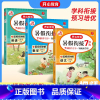 语数英3本套装 小学五年级 [正版]2022小学暑假衔接一年级二年级三年级四五六年级上下册语文数学英语专项同步训练一升二