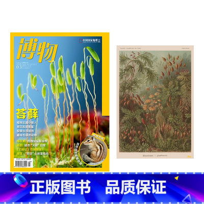 博物2203+苔藓海报 [正版]赠海报202203苔藓 梅花鹿 自然月历 白鲸记 蟹壳钉子户 腓尼基文 苗疆巫女 博物2