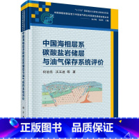 [正版]中国海相层系碳酸盐岩储层与油气保存系统评价何治亮 自然科学书籍