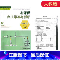 [正版]2022年春新课程自主学习与测评初中化学九年级下册人教版 南京师范大学出版社初三下册化学同步辅导配套练习