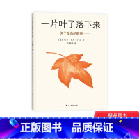 一片叶子落下来 [正版]一片叶子落下来硬壳精装图画书适合3-4-5-岁以上幼儿启蒙早教认知系列睡前亲子阅读书籍爱心树绘本