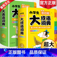 [正版]2022小学生大成语词典大英语词典小学多功能大全1-6年级彩图版全功能字典英汉汉英双解互译小词典词汇语法单词儿