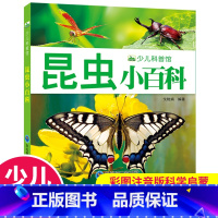 [正版]昆虫小百科 彩图注音版少儿动物世界百科全书 幼儿动物图鉴科学启蒙早教认知幼儿少儿宝宝儿童中小学生科普启蒙知识儿