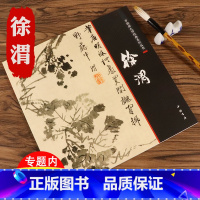 [正版]徐渭 中国画大师经典系列丛书 中国画家名作精鉴徐渭技法艺术书籍