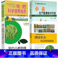 [正版]4册 图说小麦生长异常及诊治小麦生产配套技术手册现代小麦种植与病虫害防治技术化肥农药实用技术指南新农村小麦基础