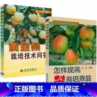 [正版]怎样提高梨栽培效益+黄金梨栽培技术问答(共2册)果树梨树种植技术大全梨优质丰产栽培实用技术梨病虫草害诊治种梨书