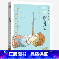 木偶奇遇记 [正版]木偶奇遇记注音版彩图一年级二年级三四年级阅读课外书蜗牛小书坊有声带拼音阅读名著绘本故事绘童书原版小木