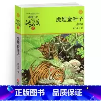 [正版]完整版虎娃金叶子全本沈石溪的图书籍动物小说大王品藏系列小学生四五六年级儿童文学作品珍藏大全全集1全套单本一新文