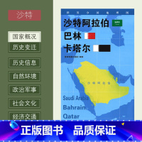 [正版]新版世界分国地理图 沙特阿拉伯 巴林 卡塔尔 政区图 地理概况 人文历史 城市景点 约84*60cm 双面覆膜