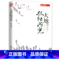 [正版]大地孤独闪光南方周末记者文集 李海鹏著中国现当代文学新中国真实社会的写照曾著佛祖一号线晚来寂静等书籍