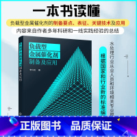 [正版]负载型金属催化剂制备及应用 负载型金属催化剂起源制备表征及应用负载型金属催化剂制备方法技术书籍 载体金属负载分