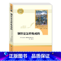 钢铁是怎样炼成的 [正版]钢铁是怎样炼成的人民教育出版社初中原著完整版无删减八年级下册必读名著初中生语文课外书阅读文学书