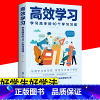 [正版]高效学习 学习高手的10个学习习惯 学习高手刻意练习学习方法思维导图头脑风暴提升记忆简单的逻辑学入门提高学习思