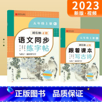 [五年级上]语文同步字帖 五年级上 [正版]小学生语文同步练字帖五年级上册刘有林正楷字帖RJ人教版5年级规范书写楷书字帖