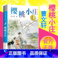 樱桃小庄 [正版]蜻蜓眼曹文轩全套 中小学生课外阅读书籍三四五六年级6-10-12-15周岁的初中生儿童读物3-6少儿老