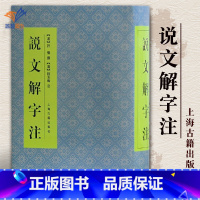 [正版]精装新版说文解字注 许慎撰段玉裁注历史古籍文学中国文化语言工具书分析研究 字体解析语言文字详解部首注释字典上海