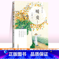 [正版] 暖爱 丁立梅著 丁立梅精品十年作品集散文集作品集系列 初中生语文课外阅读书籍中考阅读写作素材书 金城出版社