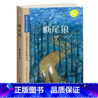 断尾狼 [正版]断尾狼 金曾豪中国儿童文学经典入选儿童文学金牌作家书系中小学生 课外阅读五年级六年级四年级课外书