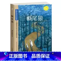 断尾狼 [正版]断尾狼 金曾豪中国儿童文学经典入选儿童文学金牌作家书系中小学生 课外阅读五年级六年级四年级课外书