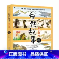 自然故事:亲子时光 [正版]自然故事合辑任选 4-8岁 儿童自然科普读物绘本 国际大奖获奖插画家 世界知名获奖插画家共同