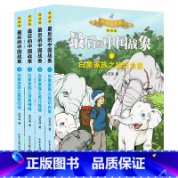 中国最后的战象 白象系列(4册) [正版]后的中国战象全套14册漫画版沈石溪动物小说全集7-12岁小学生三四五年级课外阅