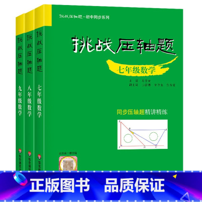 [789套装]数学压轴题3本 初中通用 [正版]2023新版挑战压轴题中考数学物理化学轻松入门篇+强化训练篇+精讲解读篇