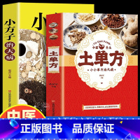 [2册]土单方+小方子治大病 [正版]全3册 土单方书张至顺大全三册小方子治大病民间传统秘方 民间实用中国医书老偏方百病