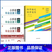 小升初+国一上册同步写作 小学升初中 [正版]2023小升初系统总复习真题卷必刷题人教版复习资料模拟试卷小学毕业总复习冲