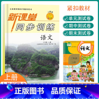 人教版语文 三年级上 [正版]新课堂同步训练三年级上册语文课堂同步辅导练习册人教版专项训练