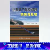 [正版]钻井井下复杂问题预防与处理 9787801648419 中国石化出版社