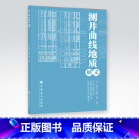 [正版]测井曲线地质解义 测井测井曲线地质解析 李浩等编著 探索系统解读测井曲线方法 从两个方面尝试解读测井曲线内涵