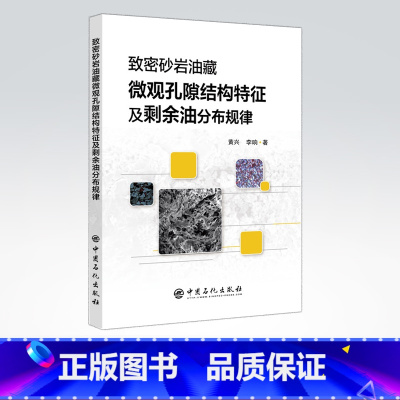 [正版] 《致密砂岩油藏微观孔隙结构特征及剩余油分布规律》地质概况地层特征地质工程技术人员 中国石化出版社 978751