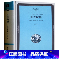 [正版]堂吉诃德 精装全译本 国外名著原版无删减 中小学生课外读物世界经典文学名著书籍书 堂吉诃德