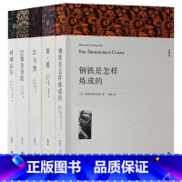 [正版]世界名著书籍青少年版 全套5册 原著 钢铁是怎样炼成的 红与黑 简爱 呼啸山庄 巴黎圣母院 全译本 初中高中学生