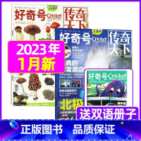 2023年1月共3本[北极生存高手+蘑菇是植物吗] [正版]好奇号杂志2023年1-10/11/12月/2024年全年/