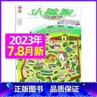 2023年7.8月合刊 [正版]小猕猴思维大冒险2023年1-11/12月/2024年送5本全年/半年订阅小学生三四五六