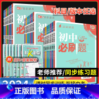 [湘教版]数学 九年级下 [正版]2024初中必刷题七八九年级上册下册人教版数学北师英语沪牛物理沪粤化学语文初一初二初三