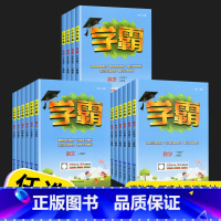 [3本]语文(人教版)+数学(北师版)+英语(人教版) 三年级下 [正版]2023经纶学典小学学霸一年级二年级三年级四年