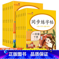 同步练字帖 二年级下 [正版]小学生语文同步练字帖一年级二年级三年级四年级五年级六年级上册下册写字课课练每日一练字帖生字