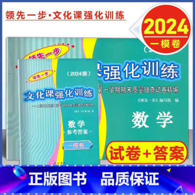 2024 高考一模卷 数学+答案 高中通用 [正版]2024年版上海高考一模卷语文数学英语物理化学历史政治生命科学生物领