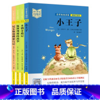 狐狸列那的故事+木偶奇遇记+尼尔斯骑鹅旅行记+小王子 [正版]中小学生大阅读系列丛书 爱的教育爱丽丝漫游奇境记安徒生童话