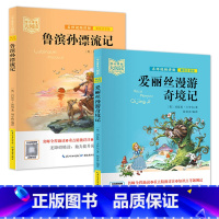 爱丽丝漫游奇境记+鲁滨孙漂流记 [正版]中小学生大阅读系列丛书 爱的教育爱丽丝漫游奇境记安徒生童话小王子狐狸列那的故事一