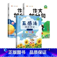 五感法写作文+作文加分句(全3册) 二年级上 [正版]五感法写作文三到六年级同步作文全套小学语文一年级二年级看图写话四五