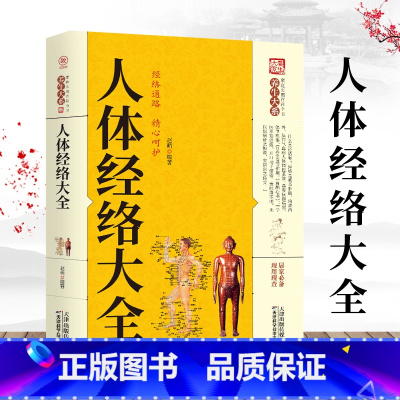 [正版]养生大系--人体经络大全图解手法 经络穴位快速记忆 全身经络书籍大全 零基础入门学会手法筋络中医养生 经络图册使